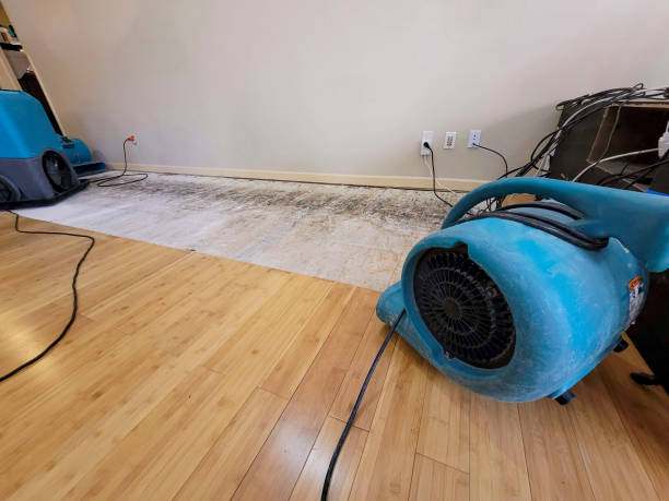 Professional Water Damage Repair technician working in Atlantic Beach, NC